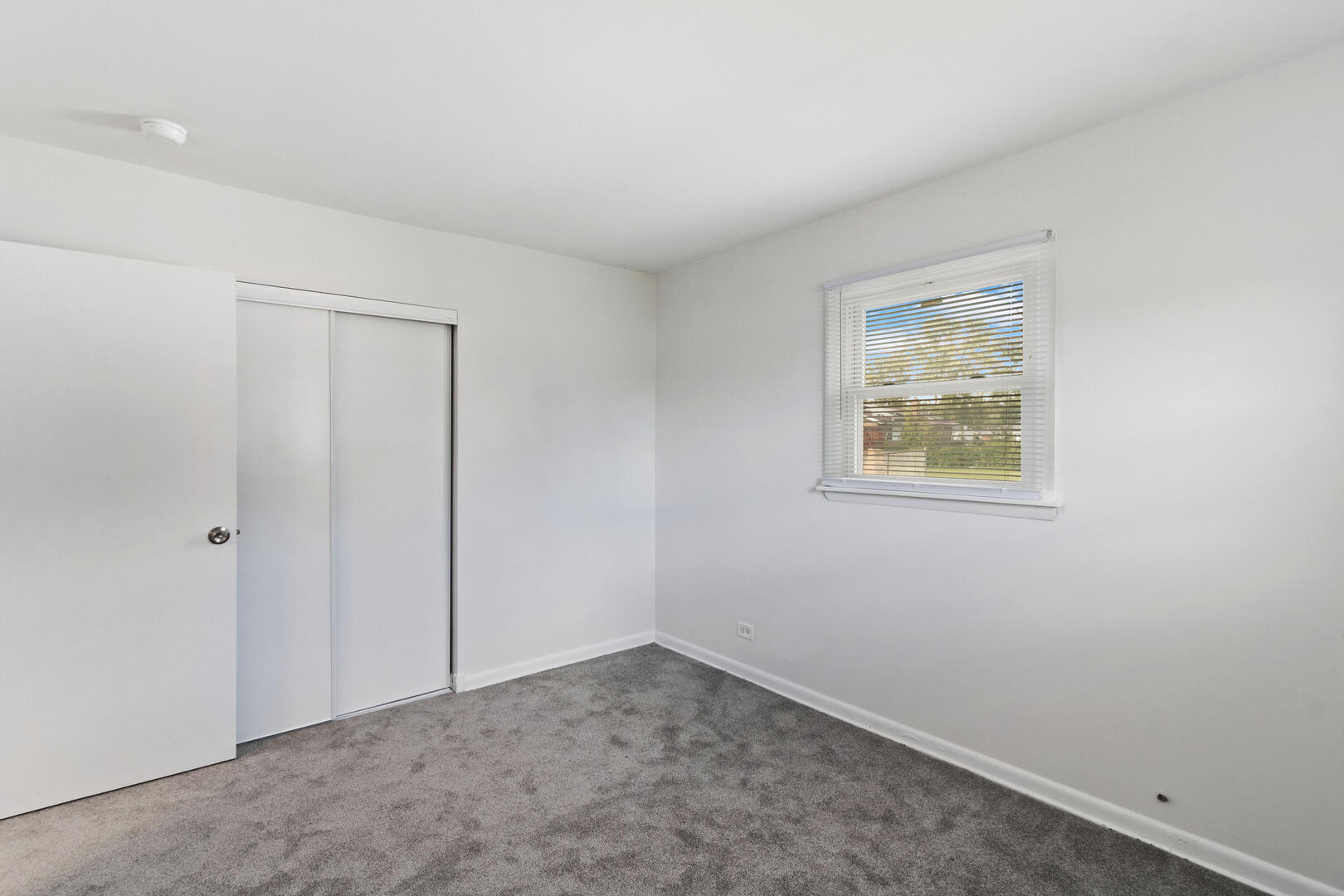 Gallery Image 19
