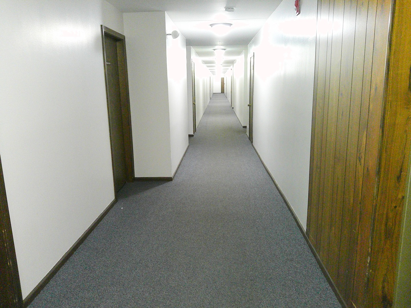Gallery Image 19