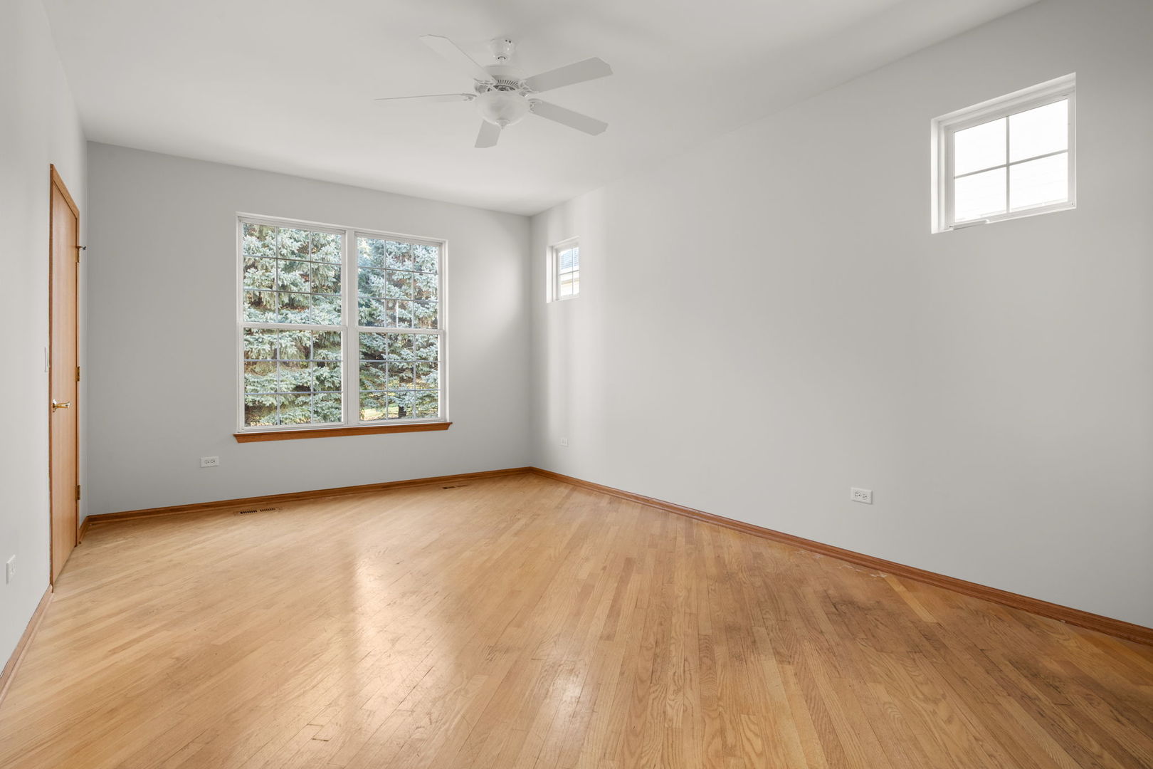 Gallery Image 11