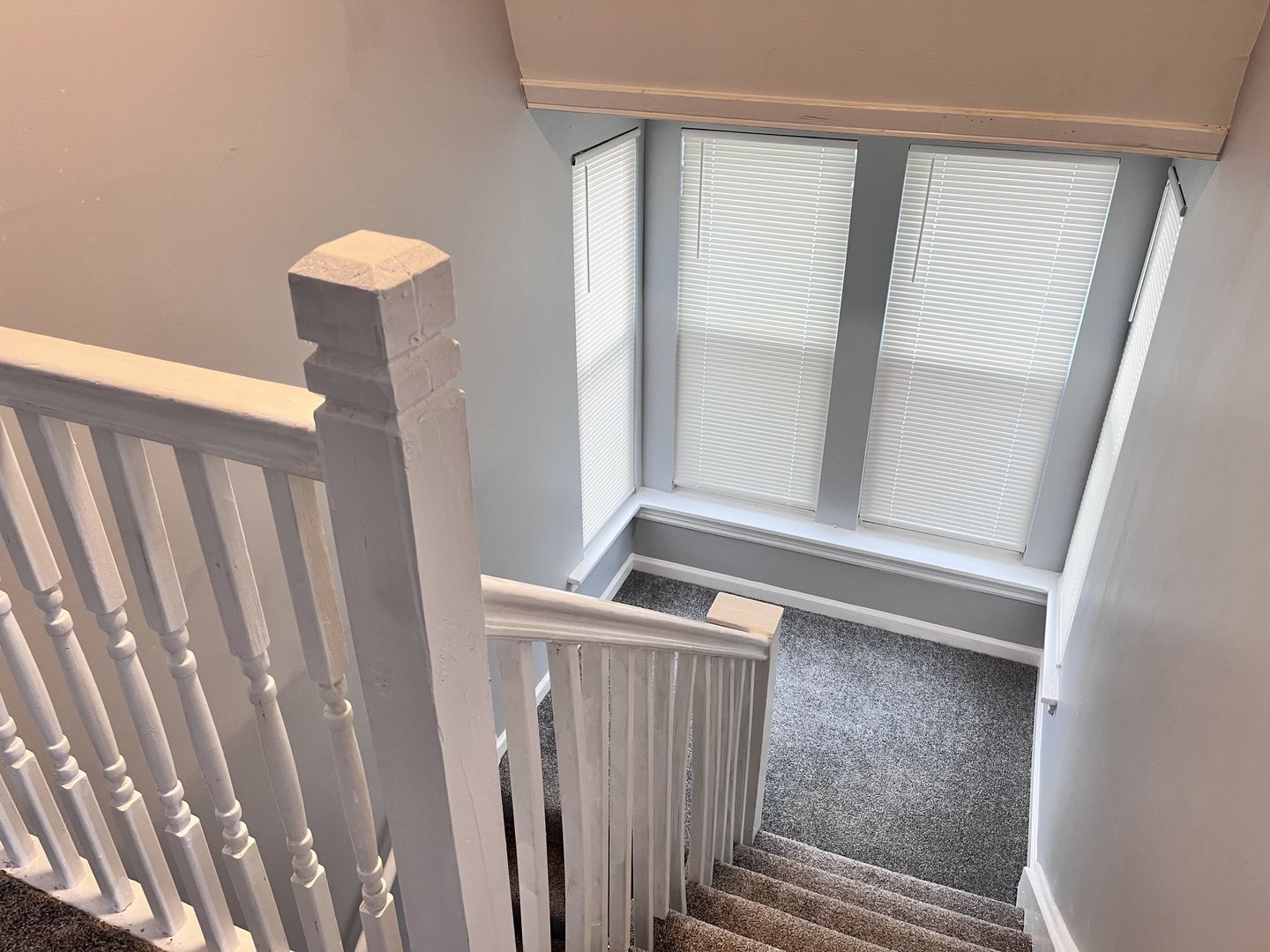 Gallery Image 8