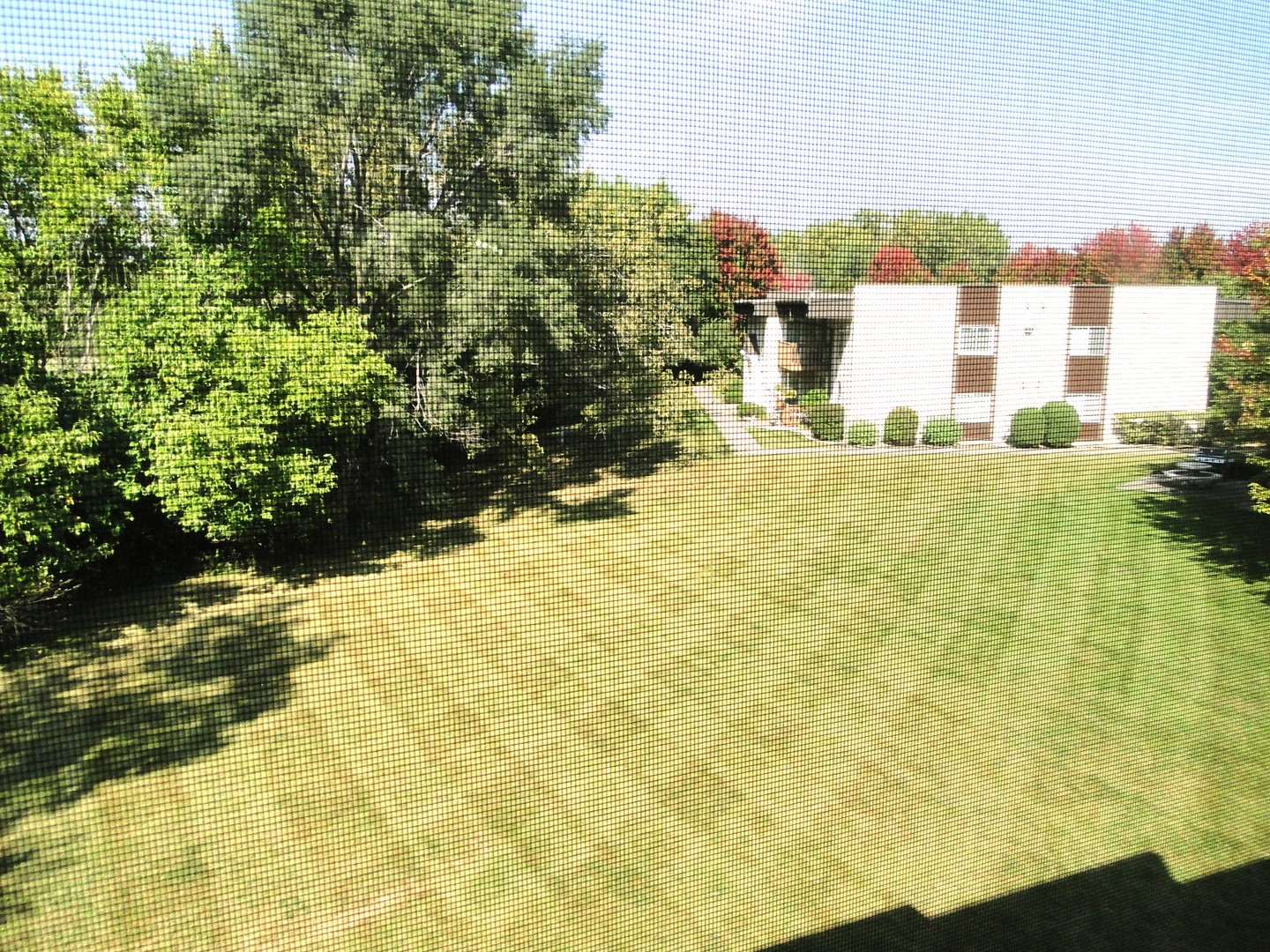 Gallery Image 17