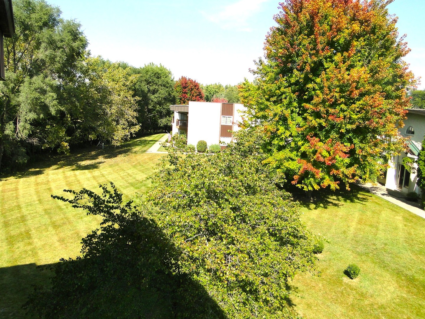 Gallery Image 21