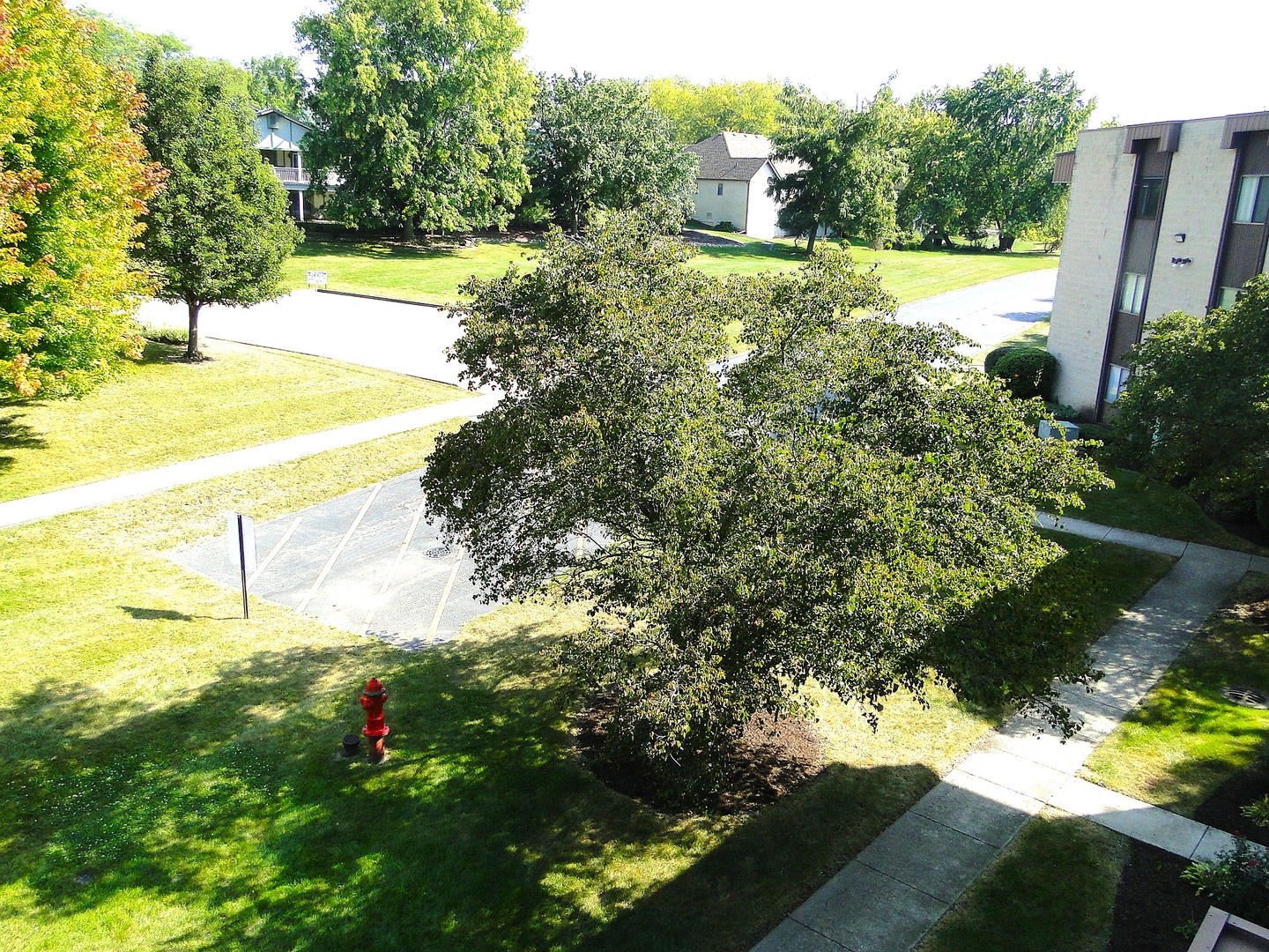 Gallery Image 11