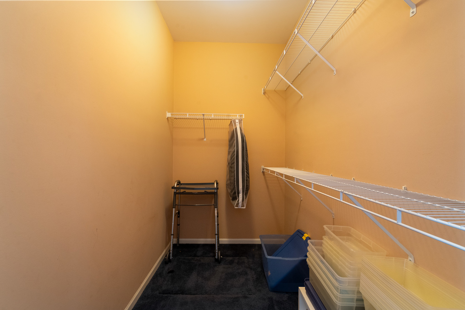 Gallery Image 19