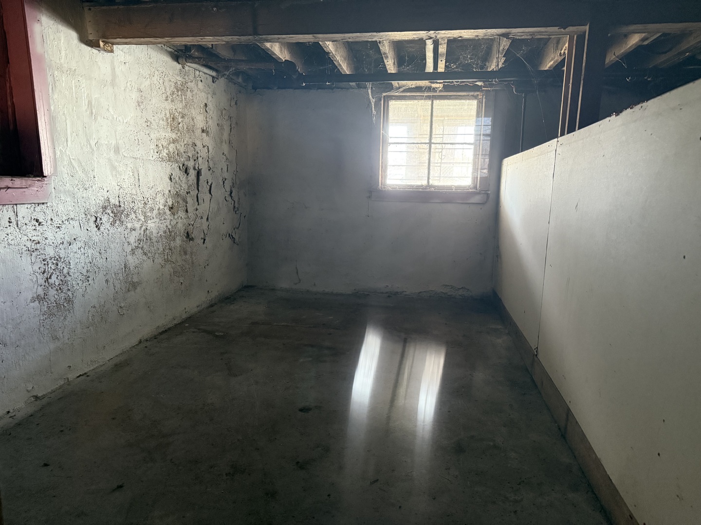 Gallery Image 20