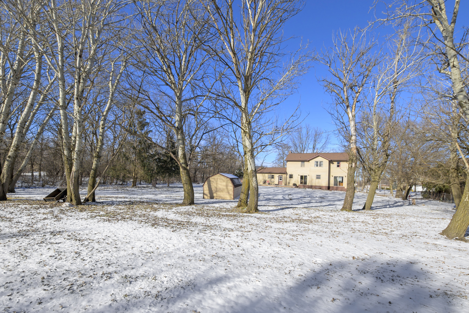 Gallery Image 19