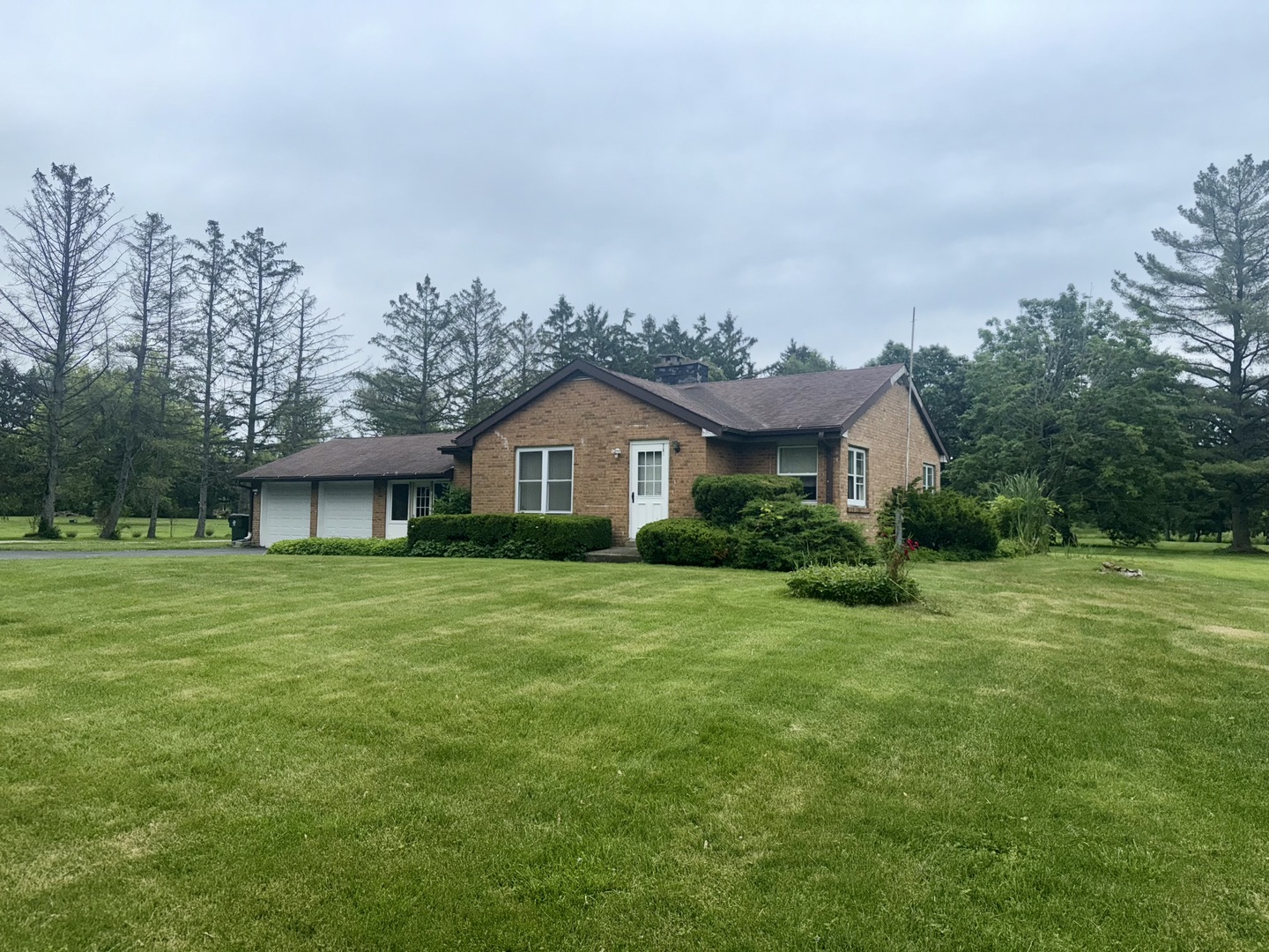 Gallery Image 14