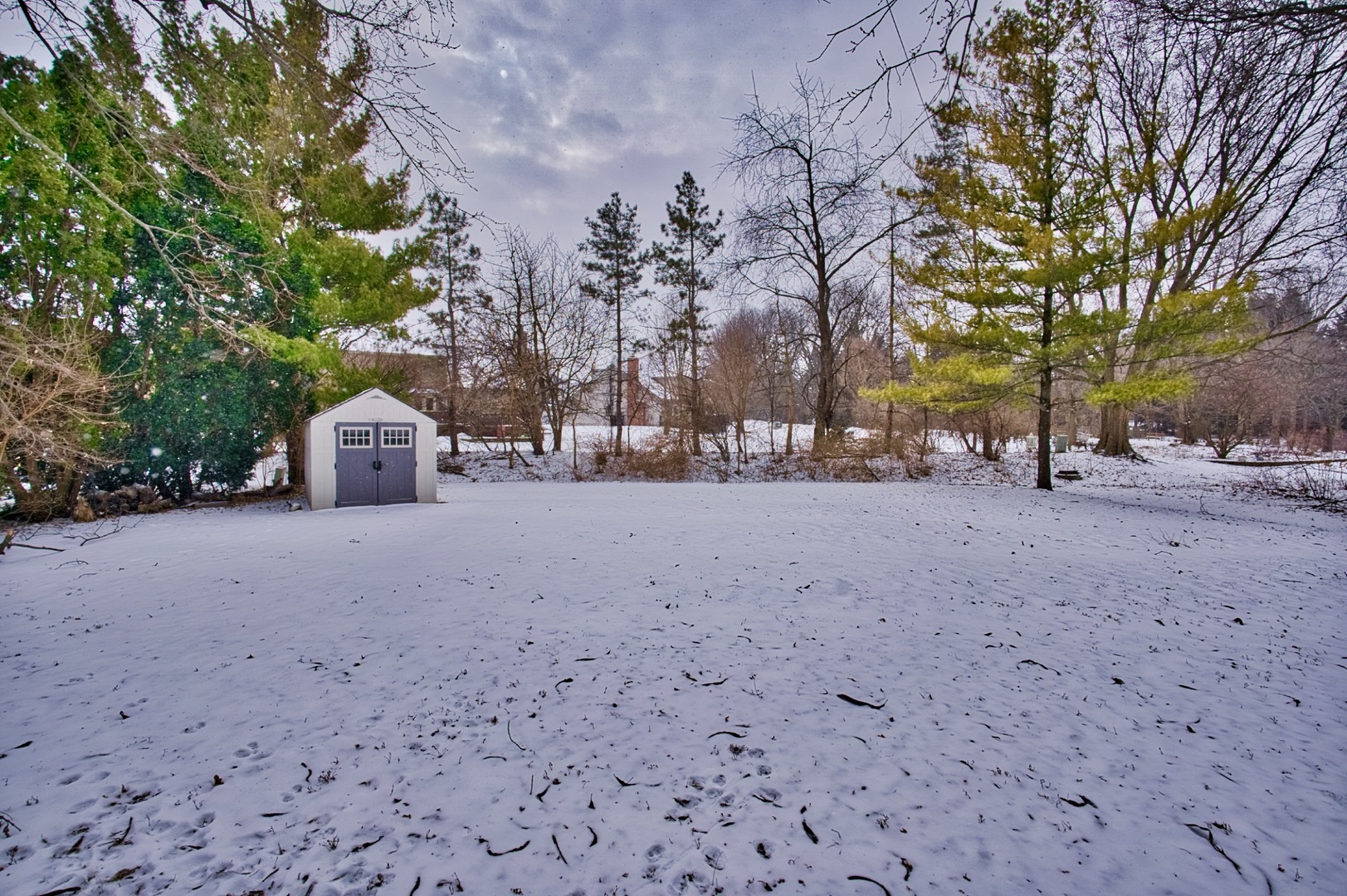 Gallery Image 56