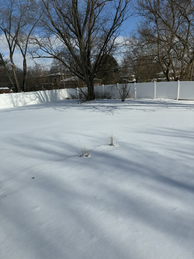 Gallery Image 11