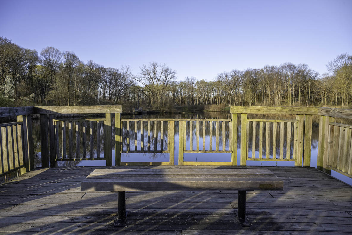 Gallery Image 37