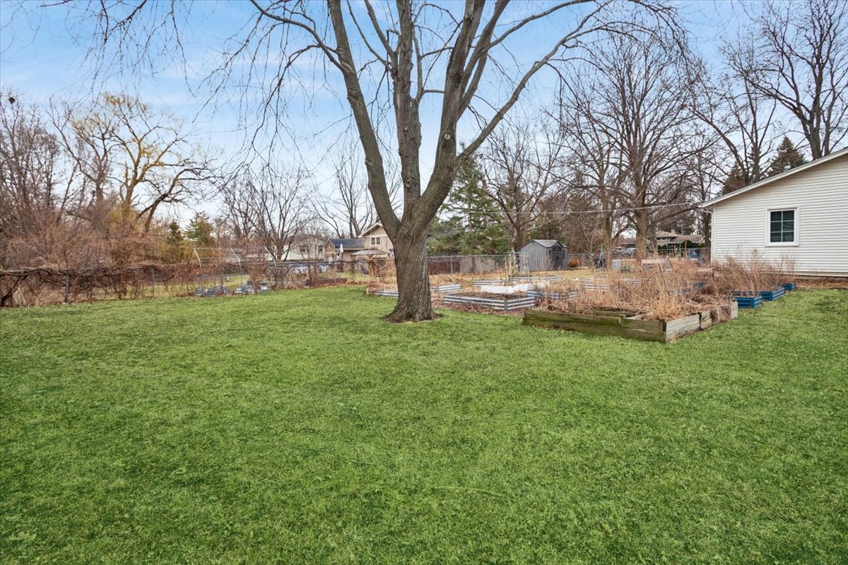 Gallery Image 19