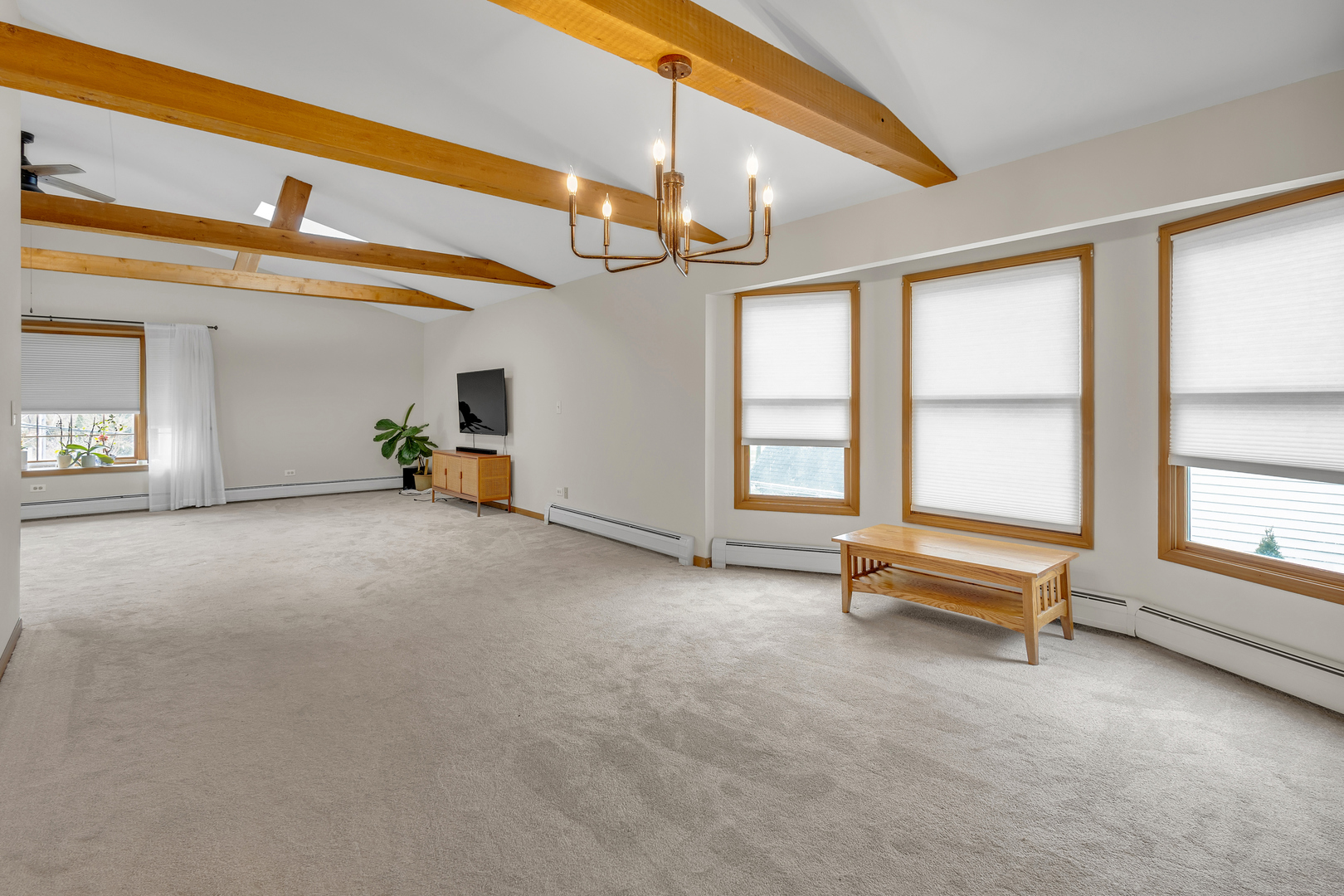 Gallery Image 19