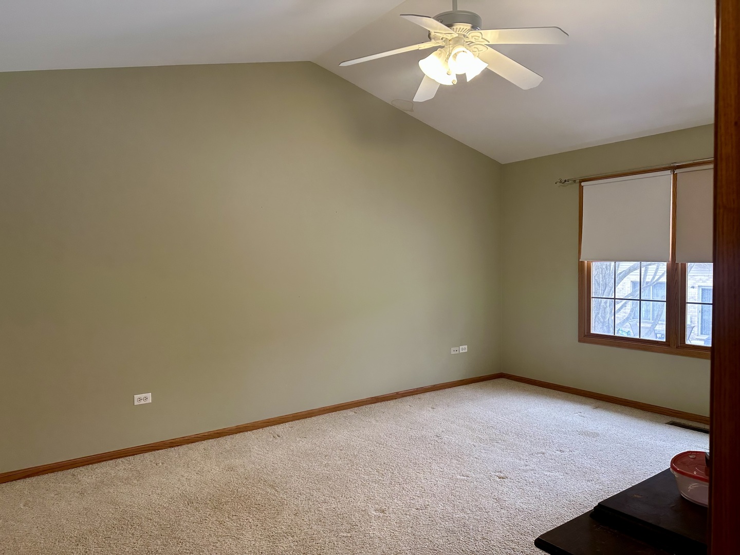 Gallery Image 19