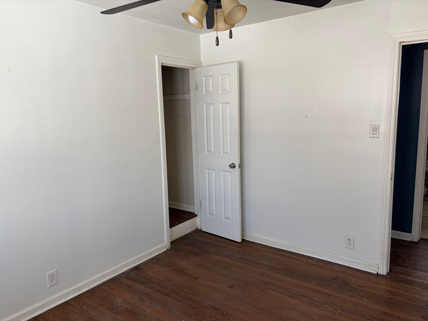 Gallery Image 11