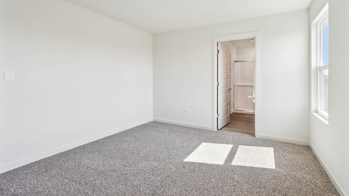 Gallery Image 19