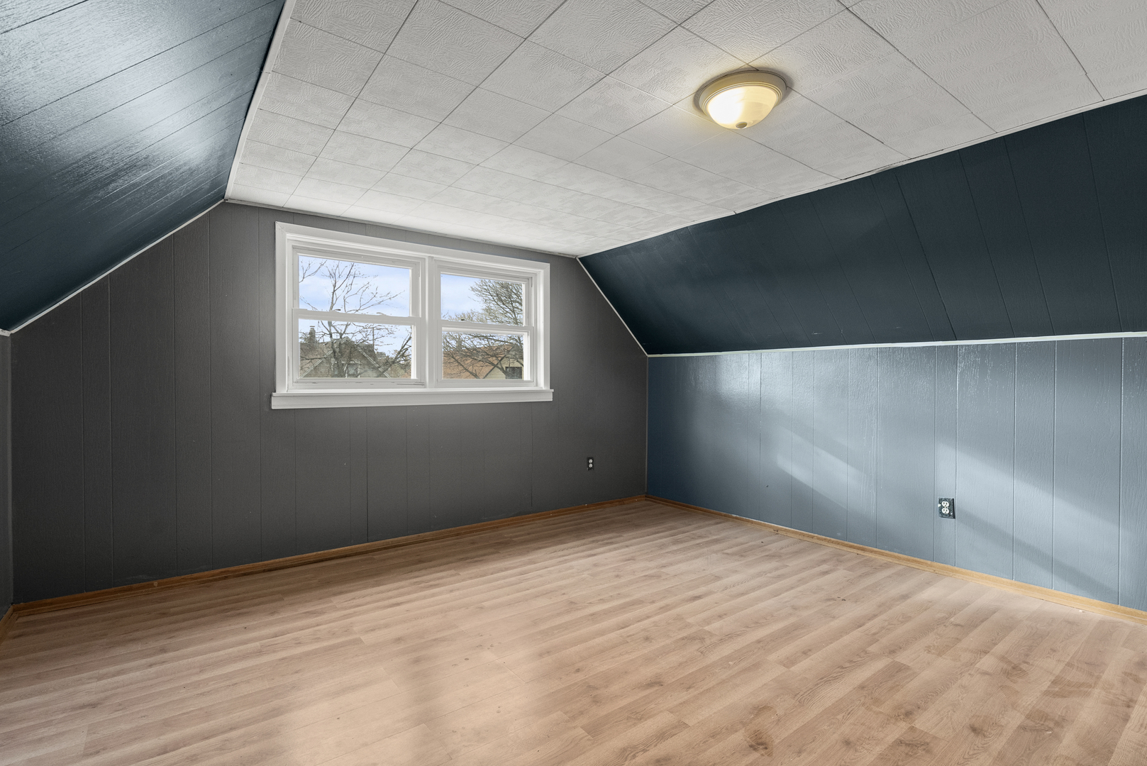 Gallery Image 13