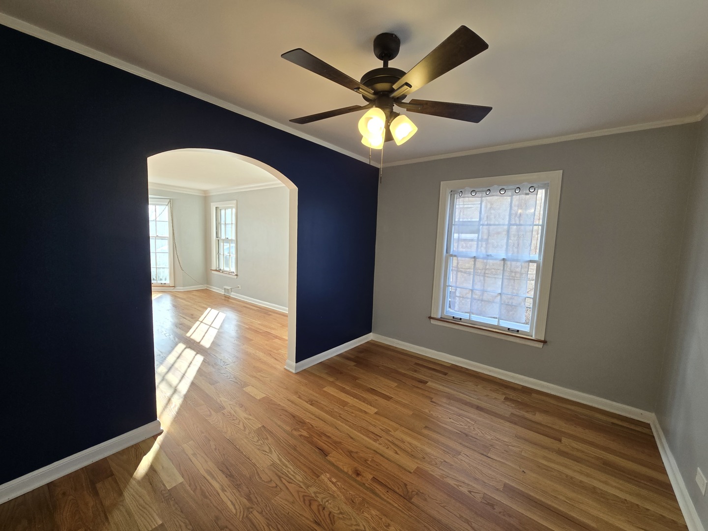 Gallery Image 7