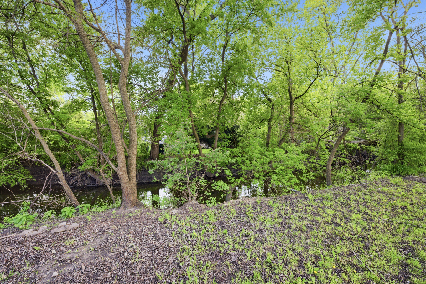 Gallery Image 28