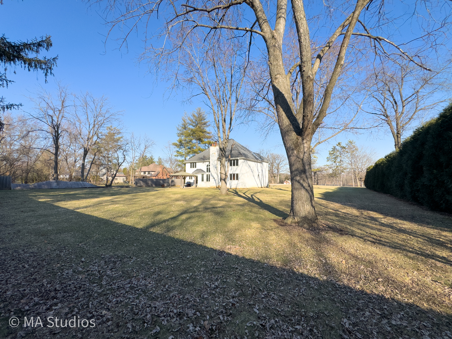 Gallery Image 61