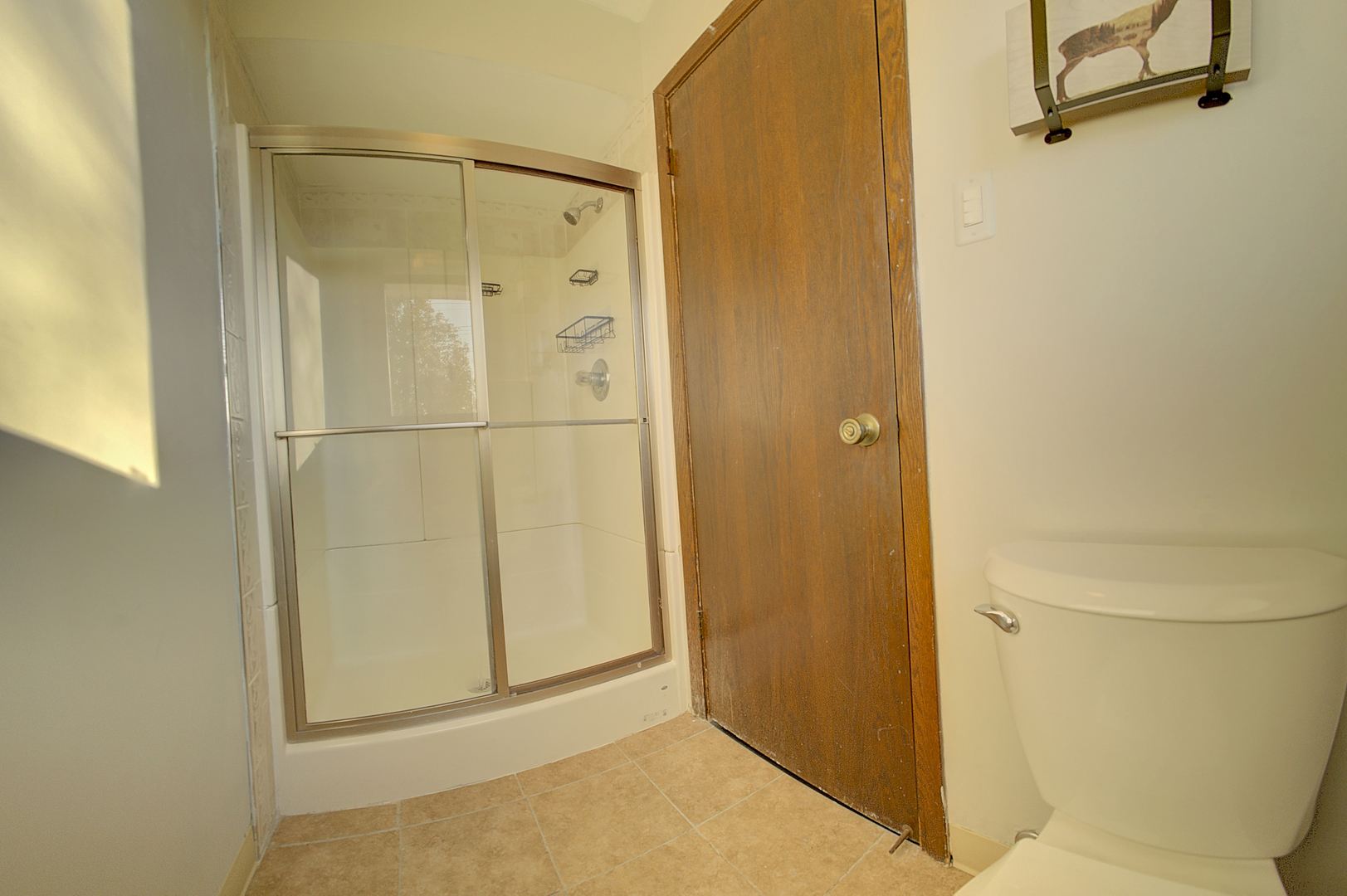 Gallery Image 19
