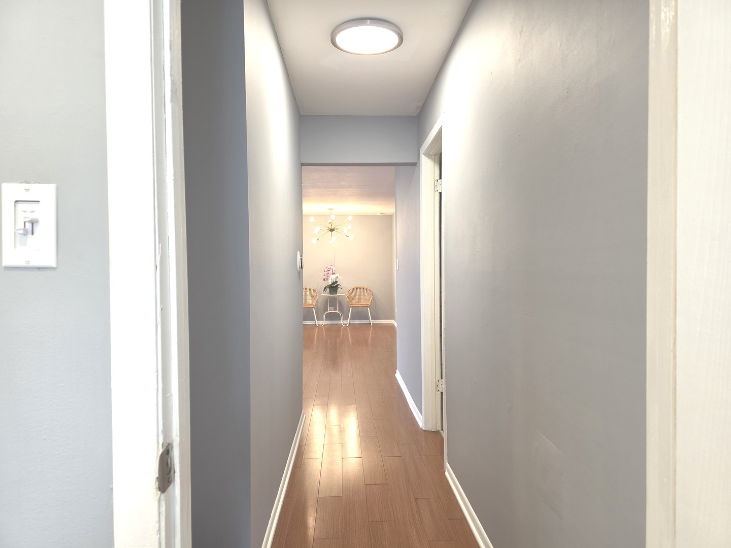 Gallery Image 15