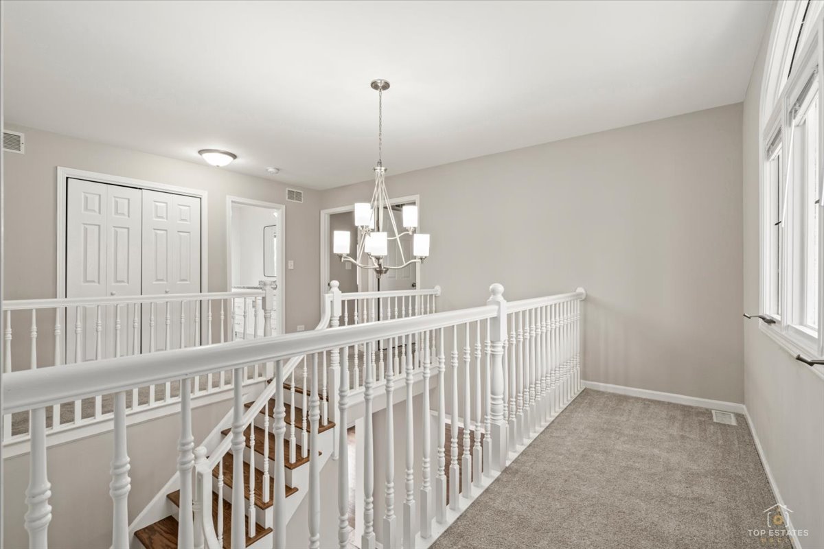 Gallery Image 19