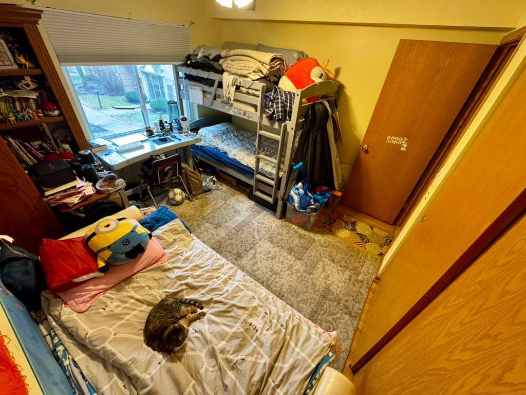 Gallery Image 12