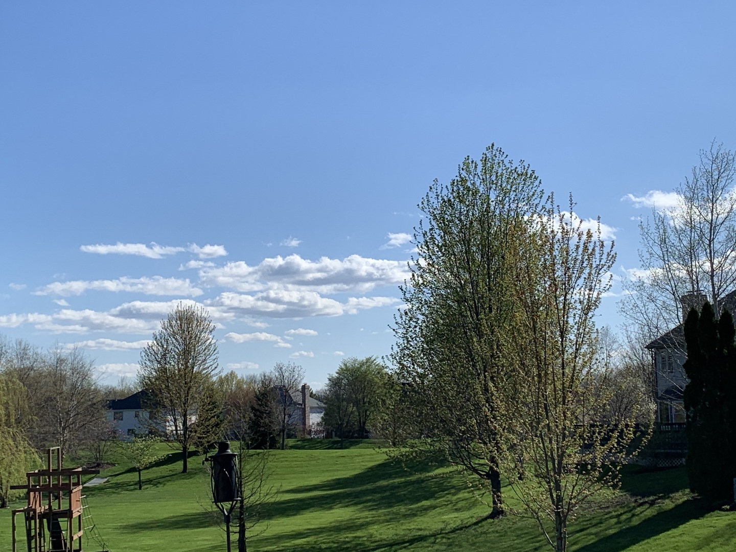 Gallery Image 52