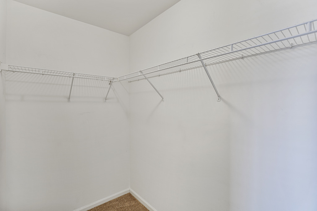Gallery Image 20