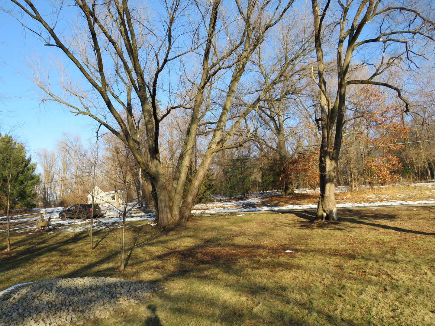 Gallery Image 16