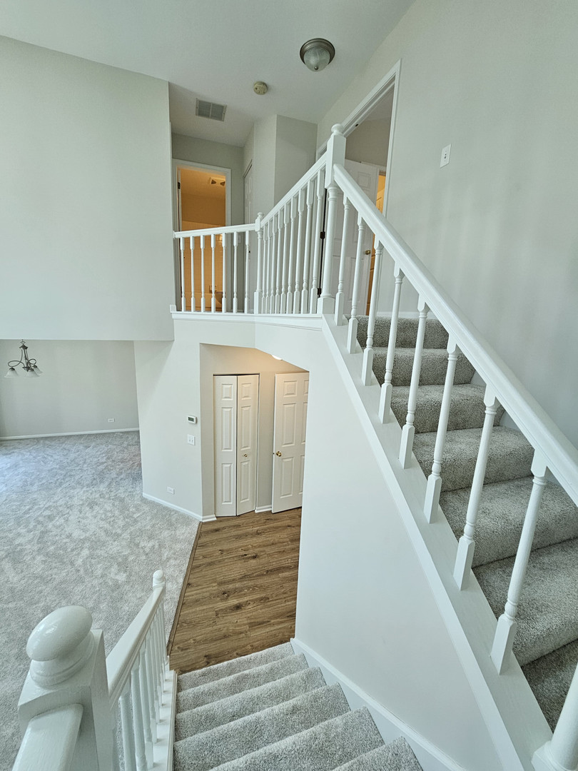 Gallery Image 19