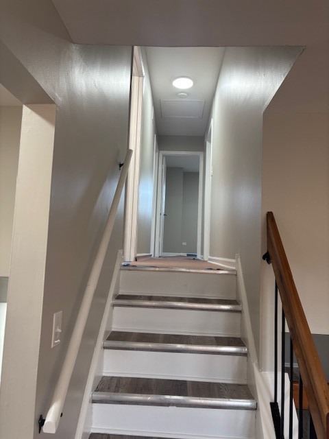 Gallery Image 8