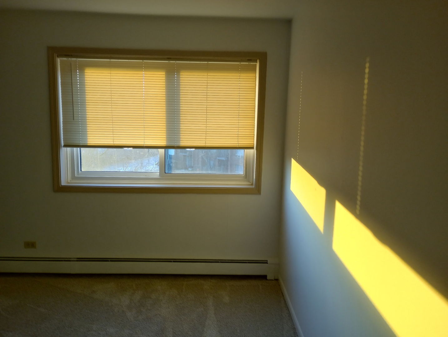 Gallery Image 20