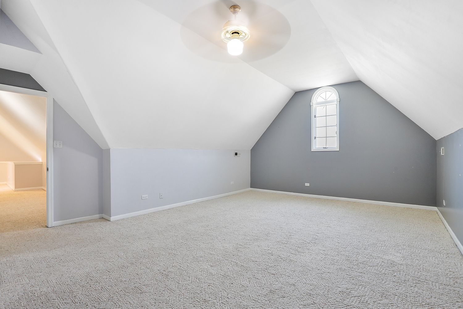 Gallery Image 19