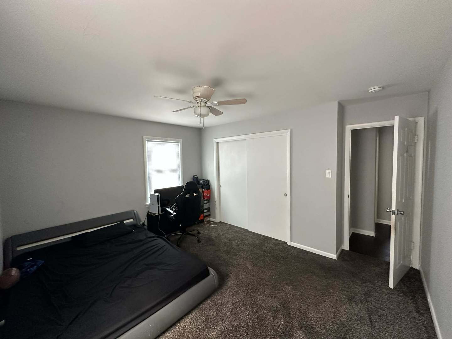Gallery Image 15