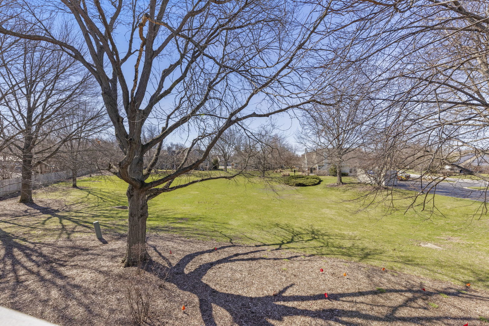 Gallery Image 19