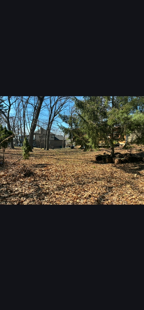 Gallery Image 11