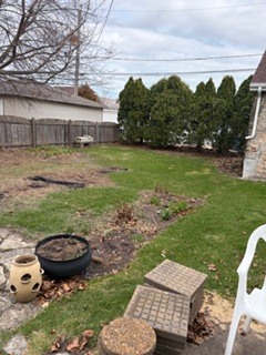 Gallery Image 25