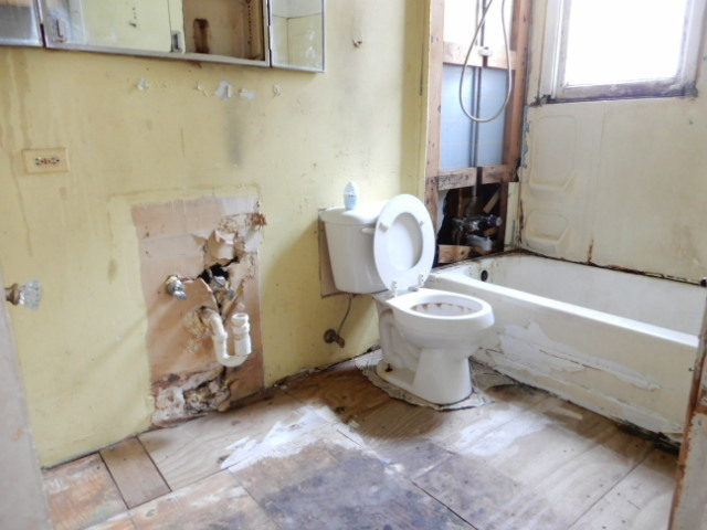 Gallery Image 14