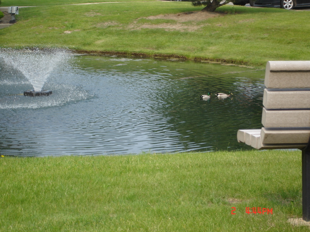 Gallery Image 10