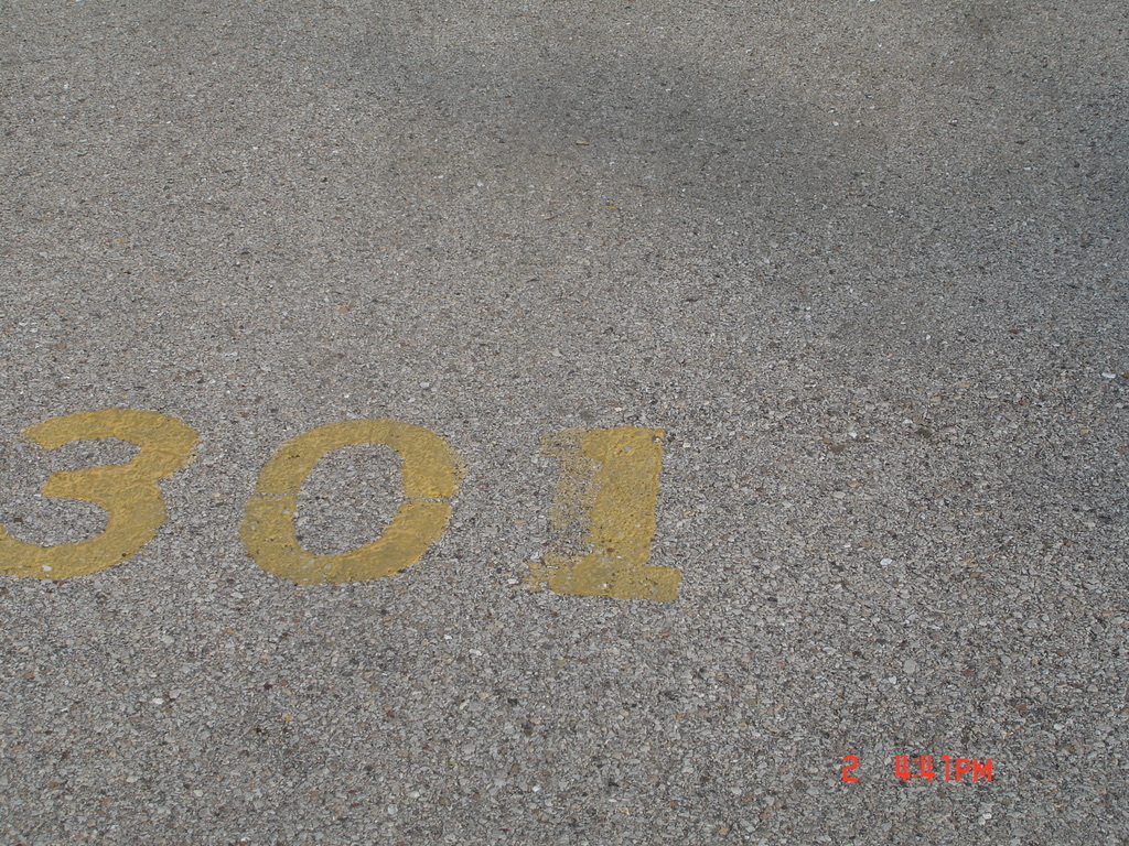 Gallery Image 13