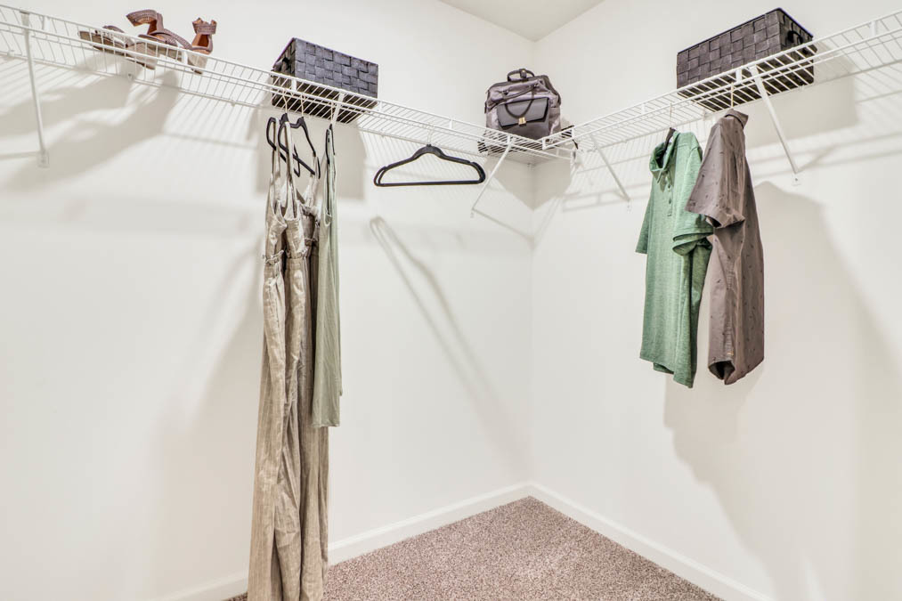 Gallery Image 19