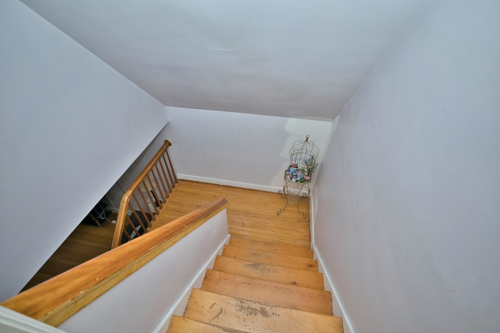 Gallery Image 31