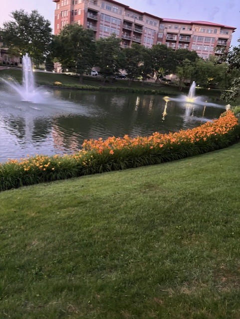 Gallery Image 15