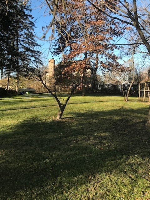 Gallery Image 20