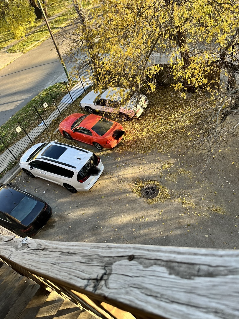 Gallery Image 11