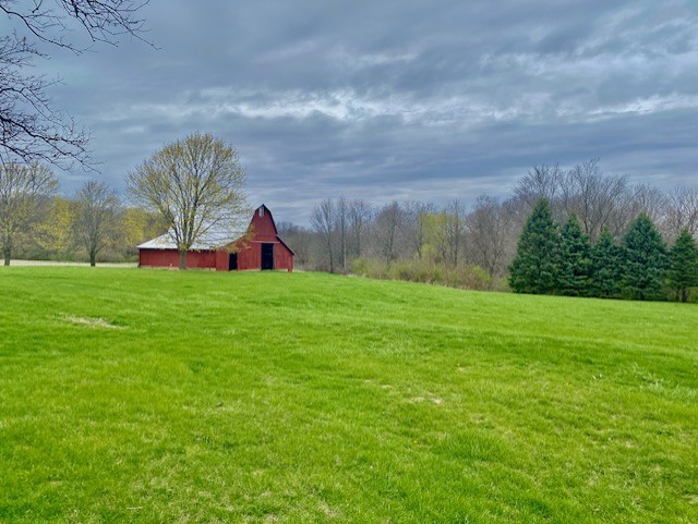 Gallery Image 20