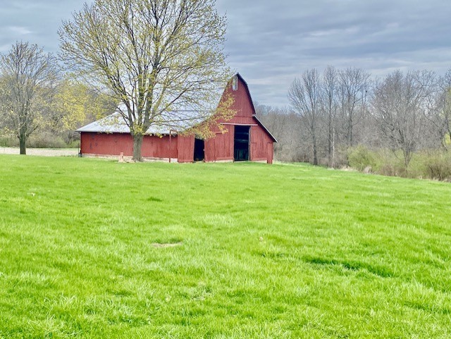Gallery Image 19