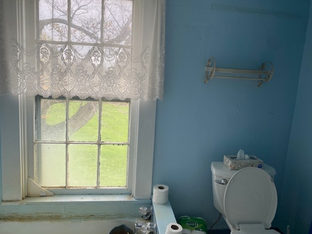 Gallery Image 8