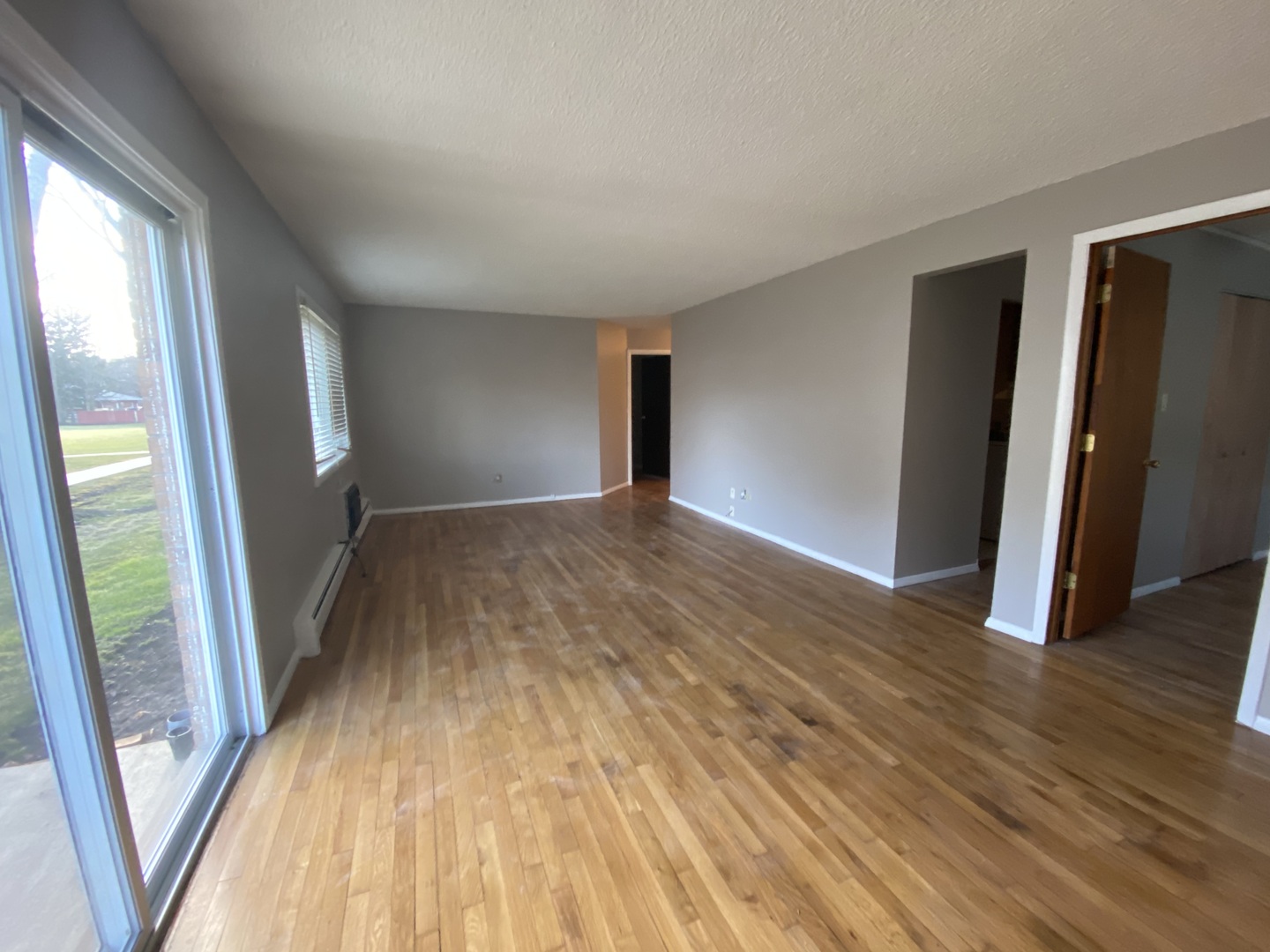 Gallery Image 15